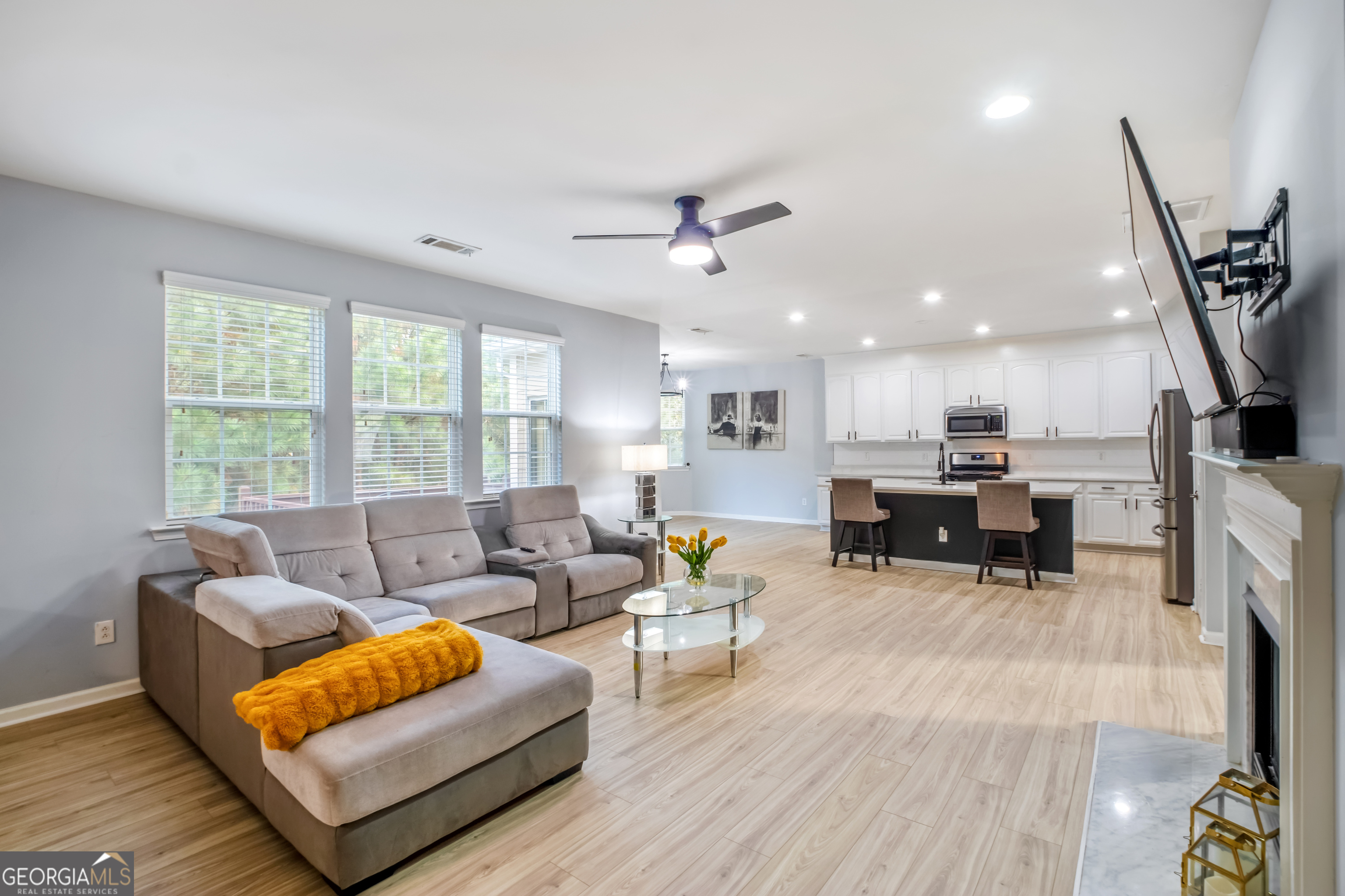 Lanier Springs Homeowner's - Residential
