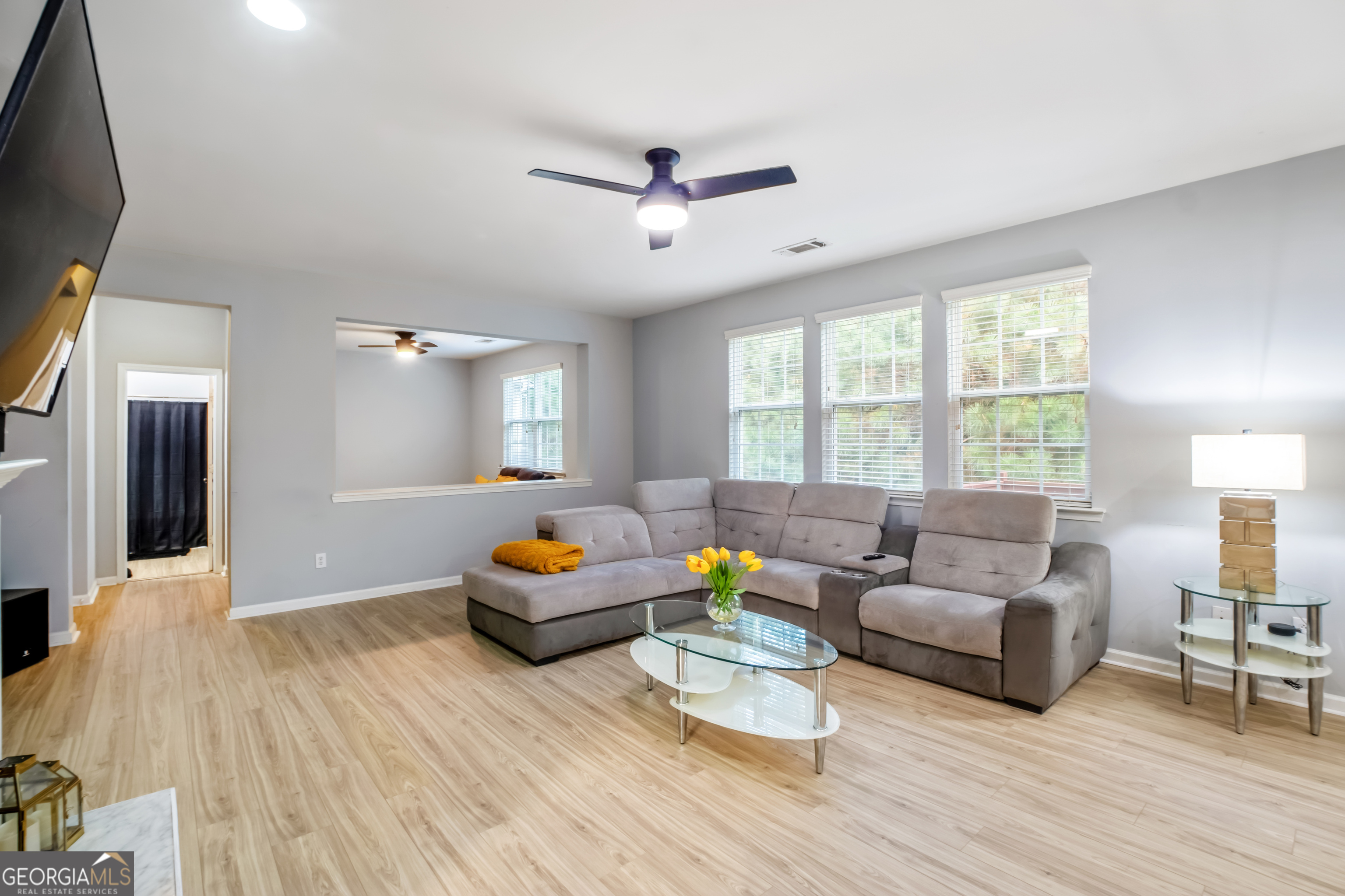 Lanier Springs Homeowner's - Residential