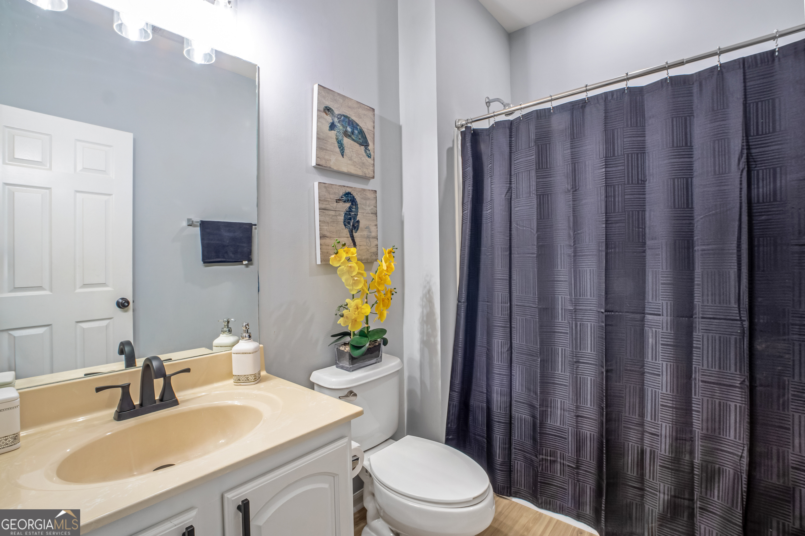 Lanier Springs Homeowner's - Residential