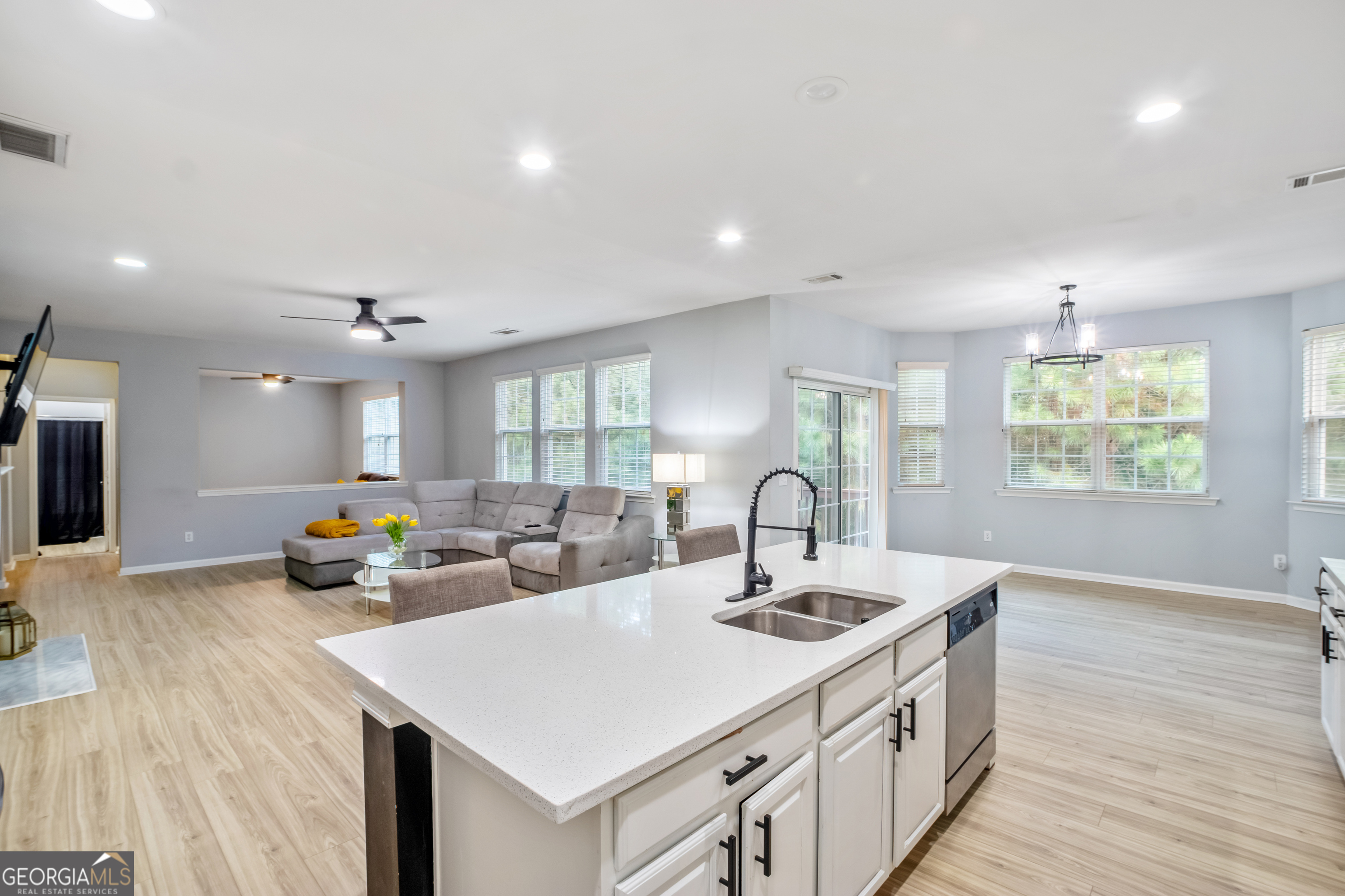 Lanier Springs Homeowner's - Residential