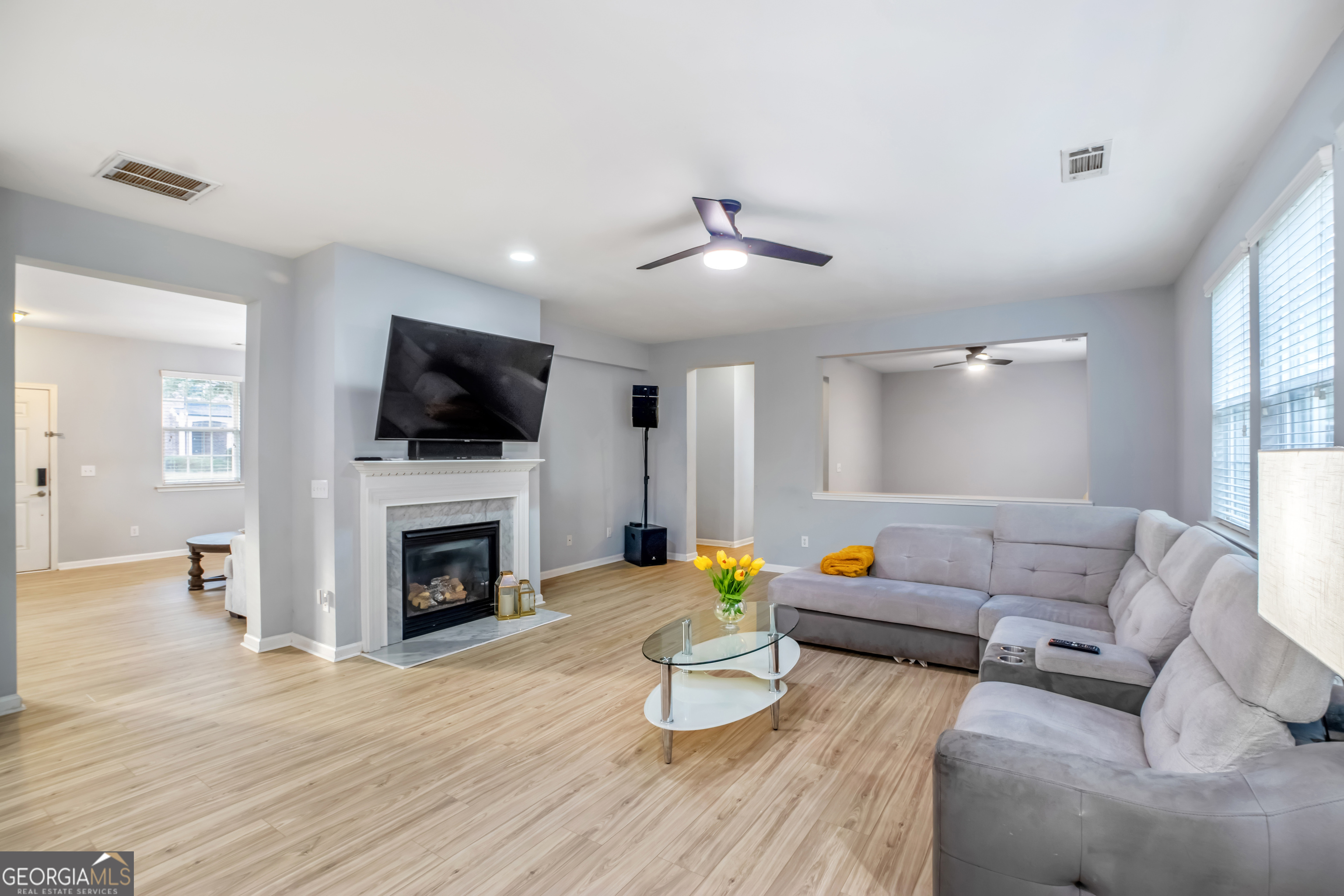 Lanier Springs Homeowner's - Residential