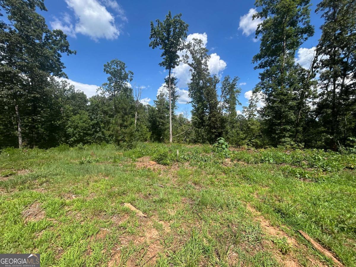 This 6 acre tract (Tract 2 on plat) off Sardis Road in Northern Cherokee County will not disappoint. Desirable topography for basement or slab homes with both flat and rolling hill potential homesites. The property was partially mulched so has some immature underbrush growth mixed with wooded areas. No clear cutting here, several beautiful large oak trees are standing, ready to flank a future homestead. Currently zoned R-80, no restrictions, no HOA. Utilities: power at the road, future septic and well. Seller has had satisfactory soil samples taken from multiple potential homesites. Additional 11 acre tract (Tract 3 on plat) is available to purchase as well. All of the surrounding new construction homes are beautifully done and on large tracts of land carrying on the farmhouse estate feel this part of the county is known for. Best of both worlds with the classic rural Cherokee experience but you still have a Publix less than 4 miles away! Downtown Canton and Northside Cherokee Hospital are less than a 10 minute drive. The impressive new $179 million dollar Cherokee High School to be completed August 2026 is the districted high school along with Teasly Middle and Clayton Elementary.