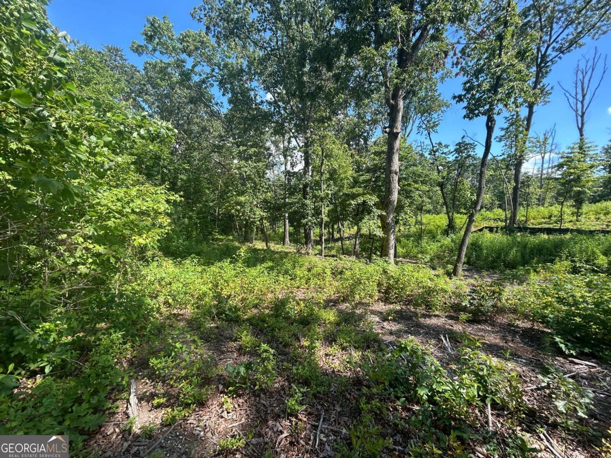 932 Sardis Road