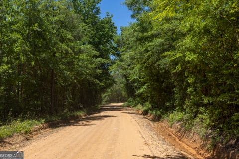 Photo of 0 Old Griswoldville Rd, Gordon, GA 31031 (MLS # 10776702)