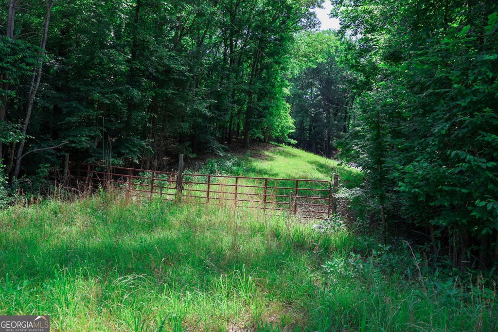 Photo of 0 Highway 330, Athens, GA 30607 (MLS # 10299917)