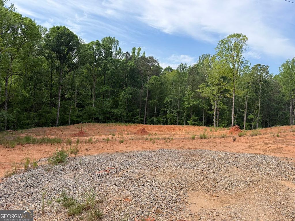 Photo of 1476 English Road, Forsyth, GA 31029 (MLS # 10739926)