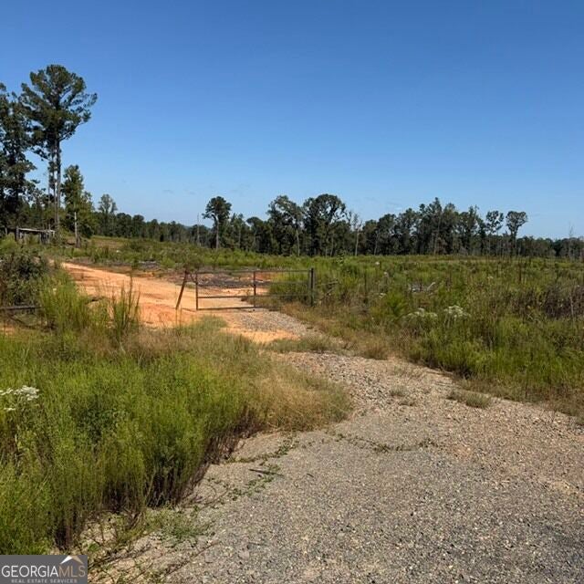 Photo of 76 Gibson Road, Talbotton, GA 31827 (MLS # 10851005)