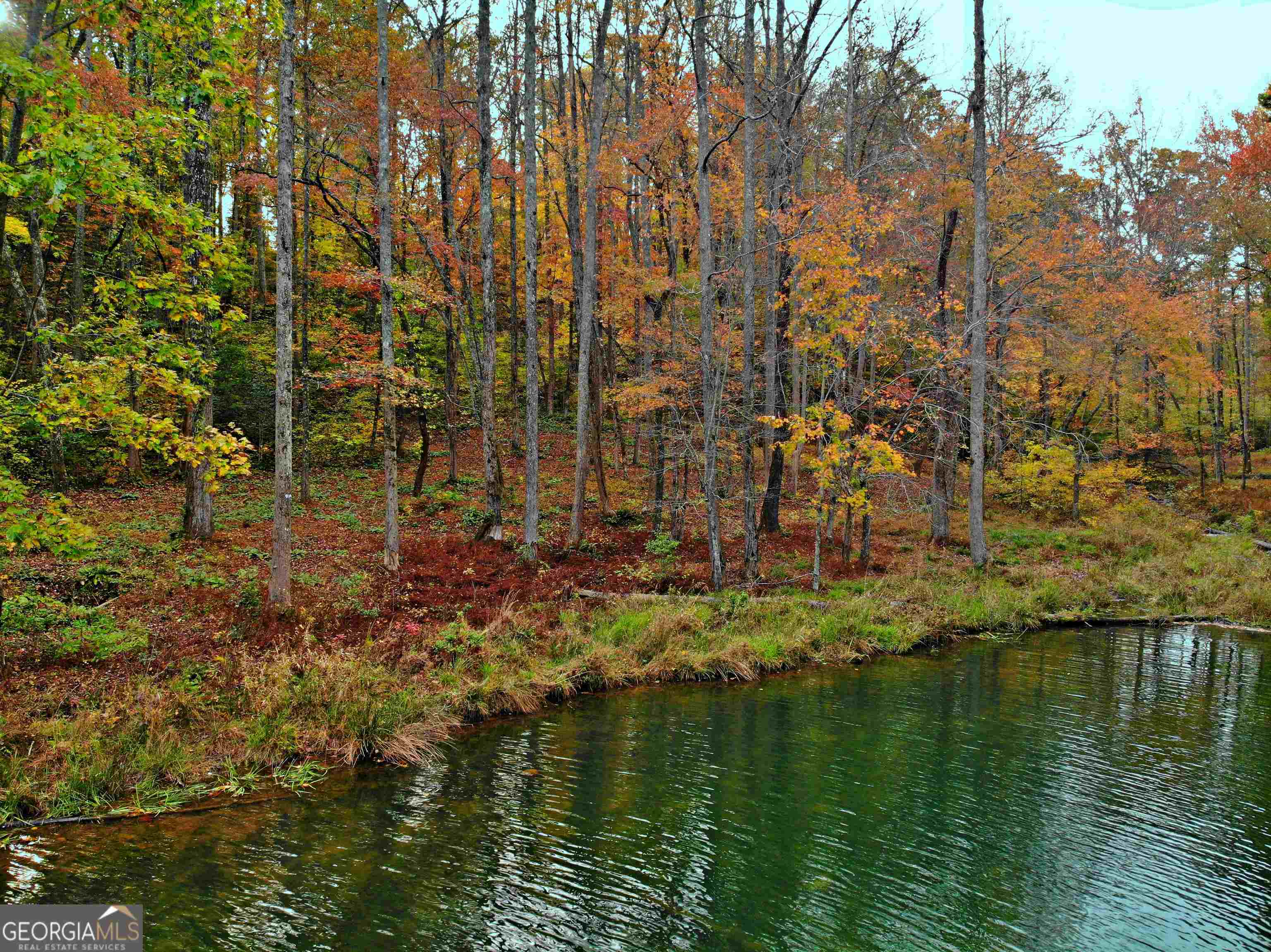 LOT 157 N Laceola RD 157