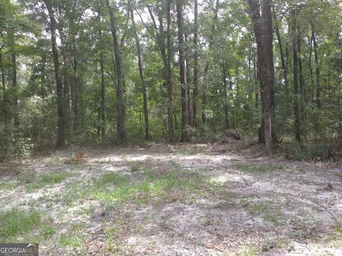 1046 Harmony Hill LN NE Townsend GA 31331