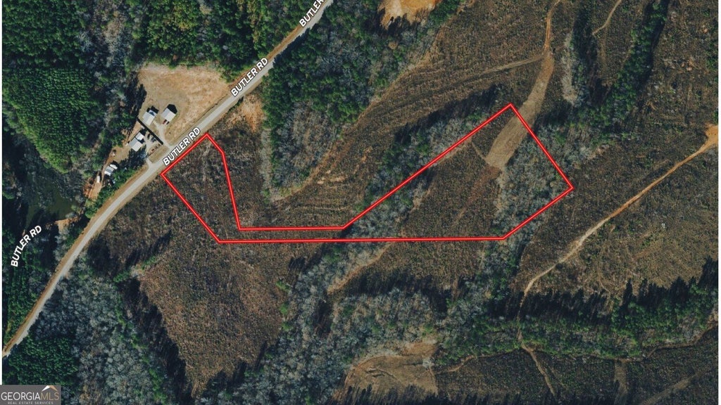 Photo of 0 Butler Road, Franklin, GA 30217 (MLS # 10851249)