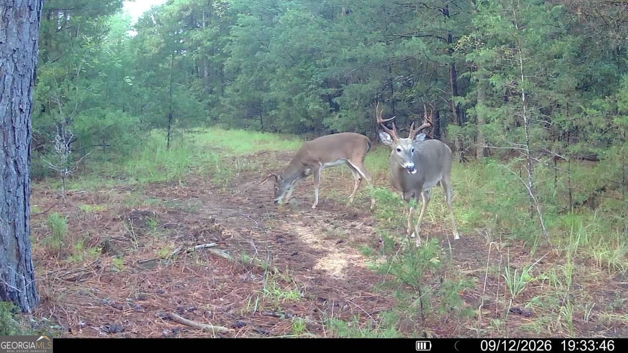 1419 Bobby Brown State Park RD