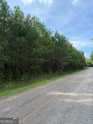 108 AUBREY MAYS RD, FORSYTH, GA 31029 - Image 9c1010e4f46b5b5e2cefd14d9644a103/618646916