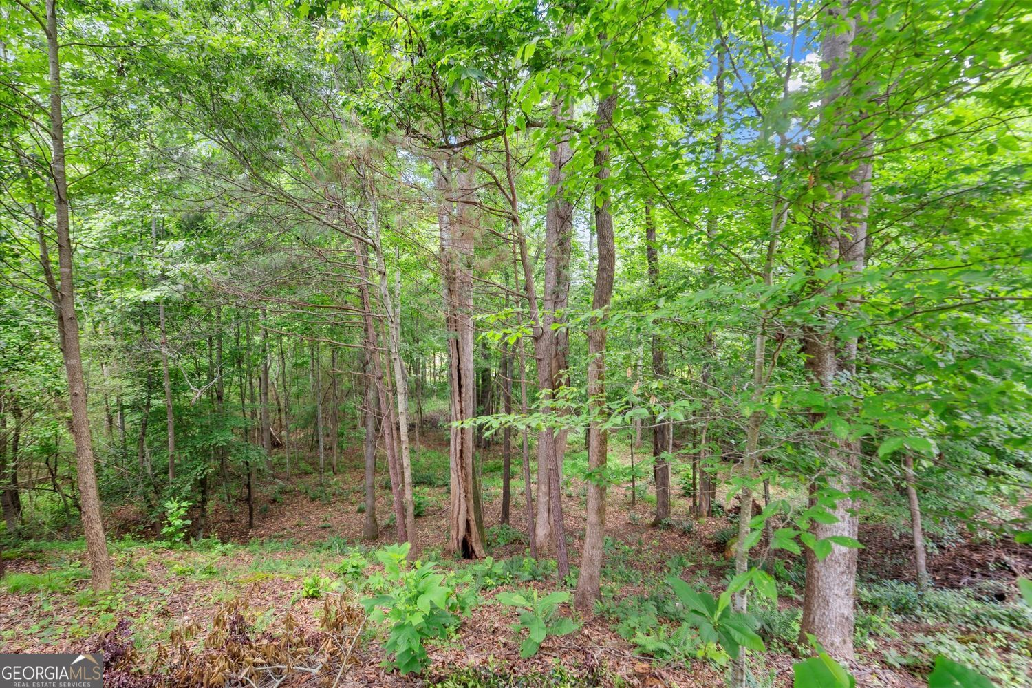 ECHELON - Residential