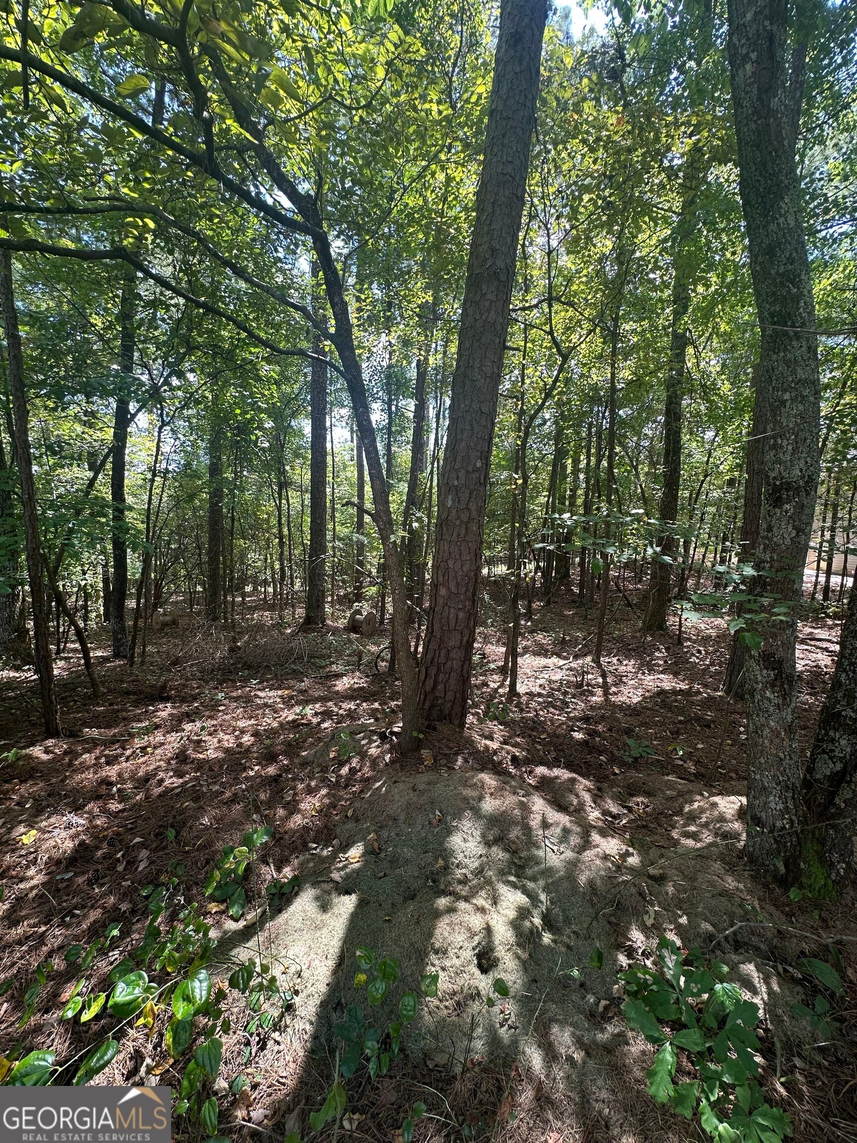 6034 Belle Meade CT