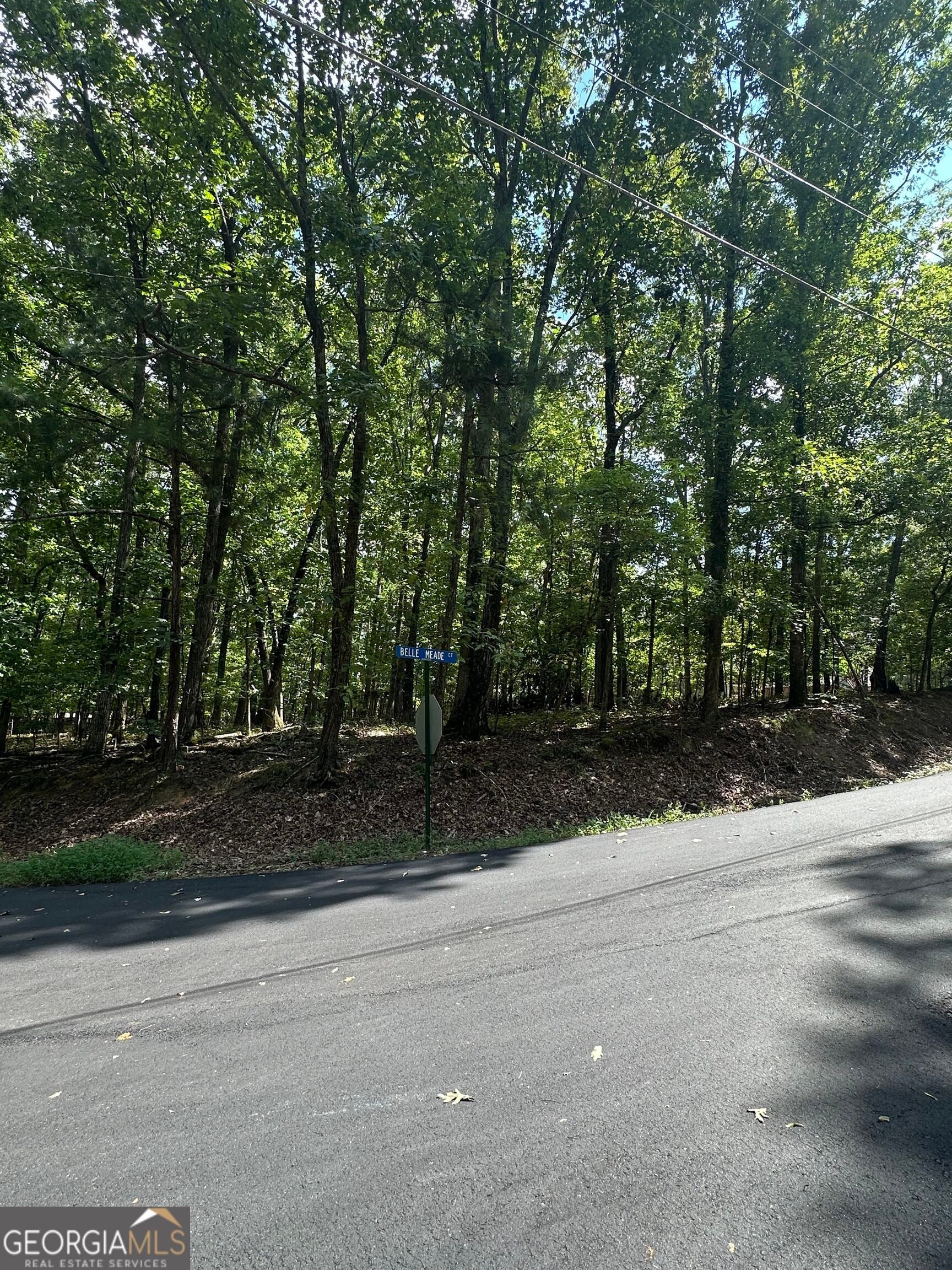 6034 Belle Meade CT