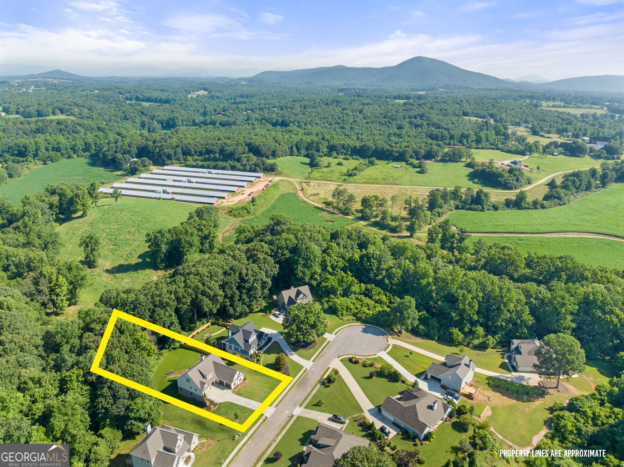 5821 Abbey View CT