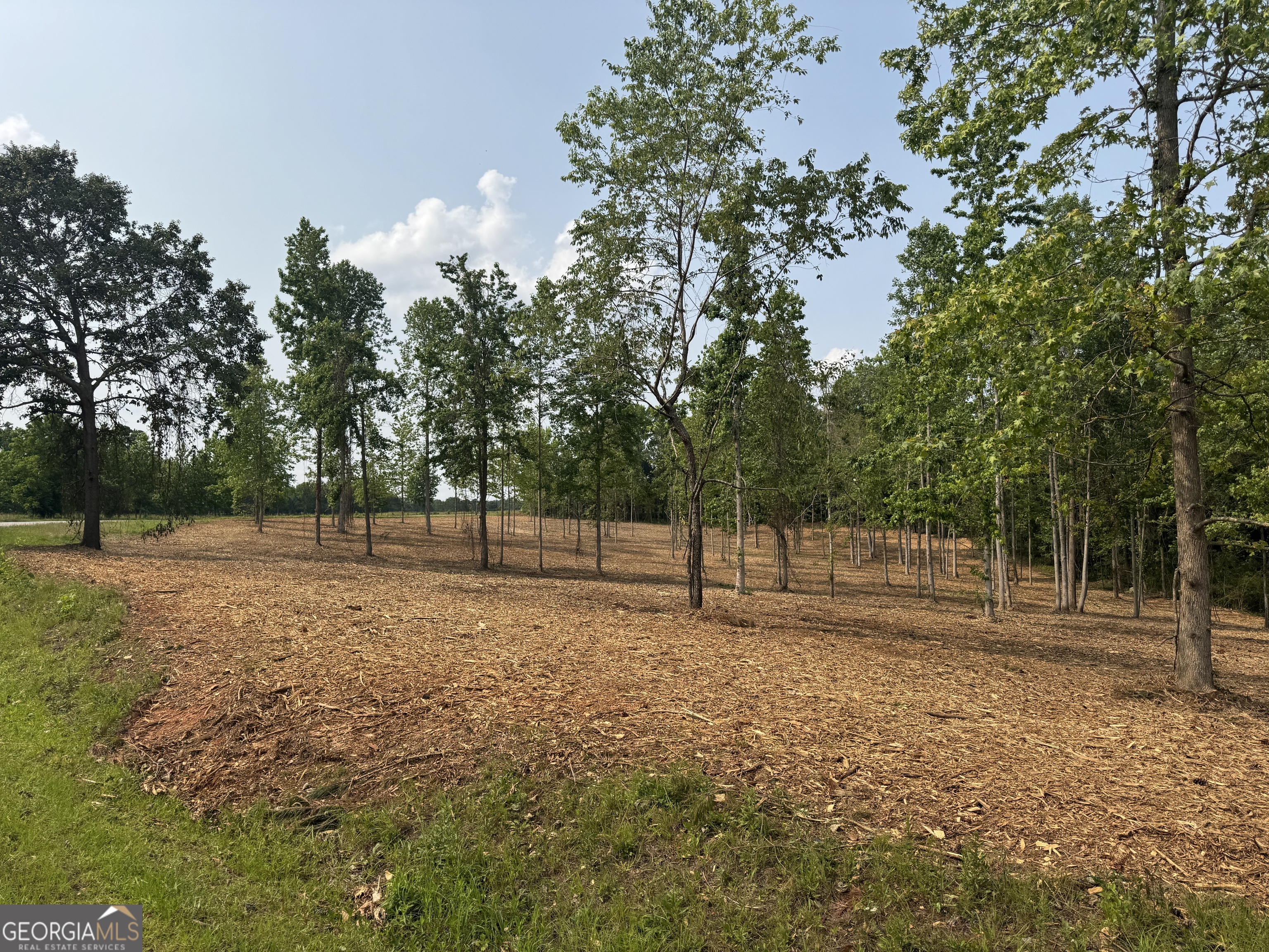 This 6.25 - acre tract offers a prime location with multiple potential building sites!! Partially cleared with beautiful hardwoods towards the back, giving you flexibility and privacy. Just 10 minutes from Carrollton and located in the desirable Centralhatchee school district. Small tracts in the northern part of the county are hard to come by so don't miss your chance to own land in this desirable area!!