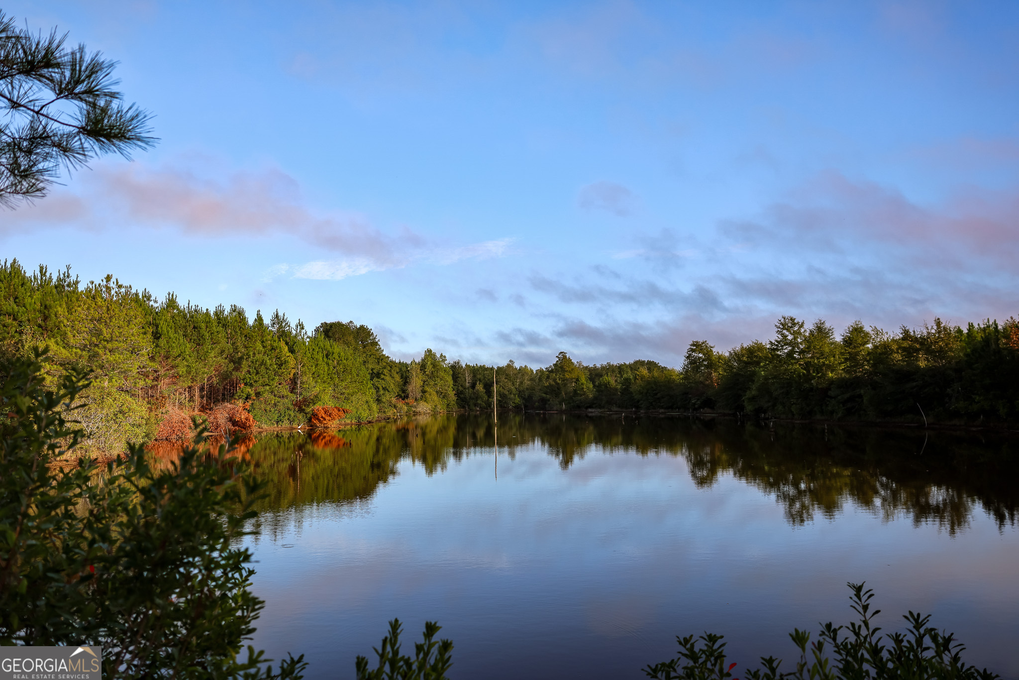 652 ACRES Ga Hwy 45 S