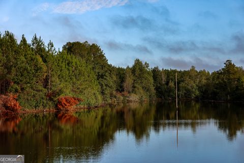 652 ACRES Ga Hwy 45 S Americus GA 31719