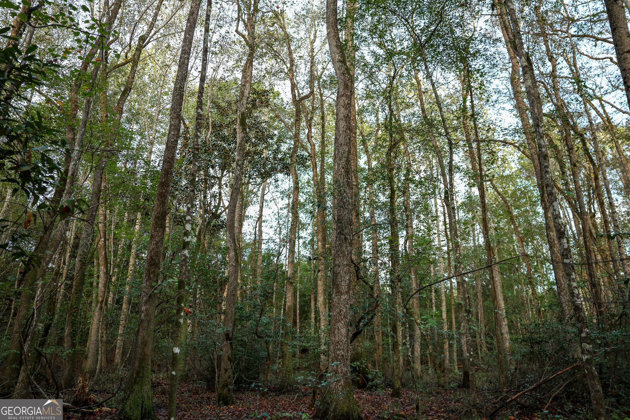 652 ACRES Ga Hwy 45 S