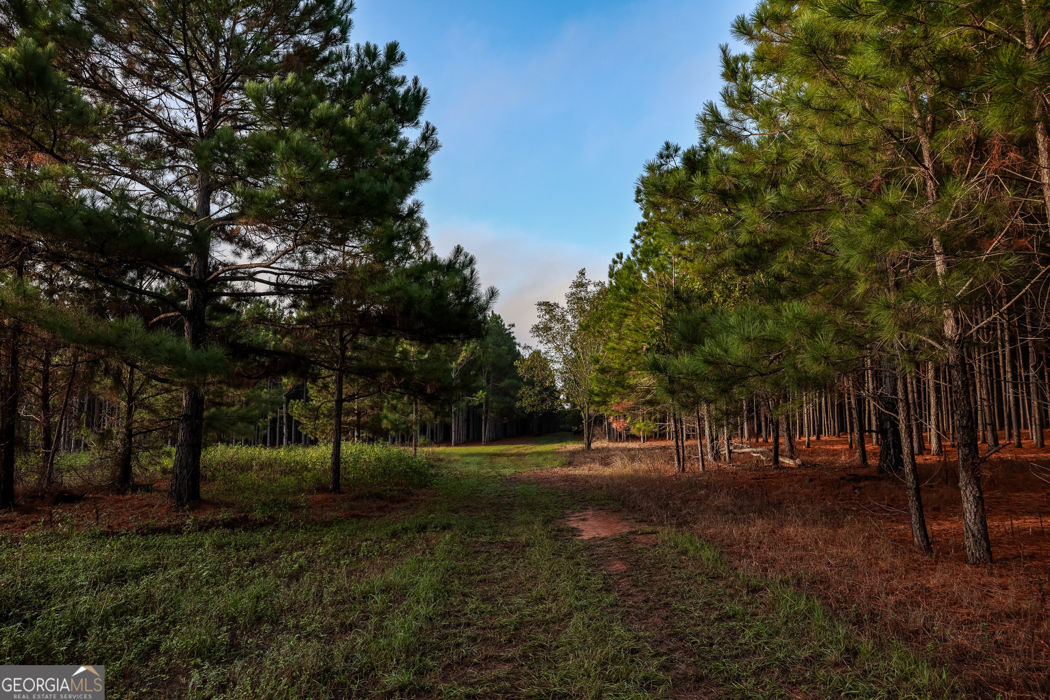 652 ACRES Ga Hwy 45 S