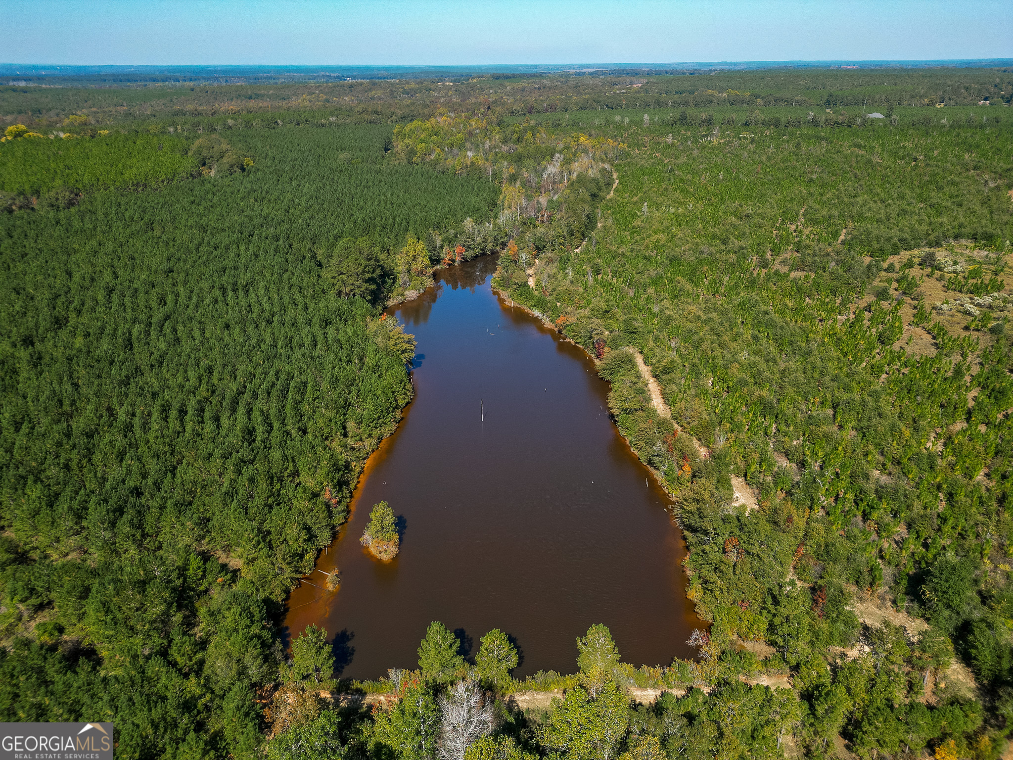 652 ACRES Ga Hwy 45 S