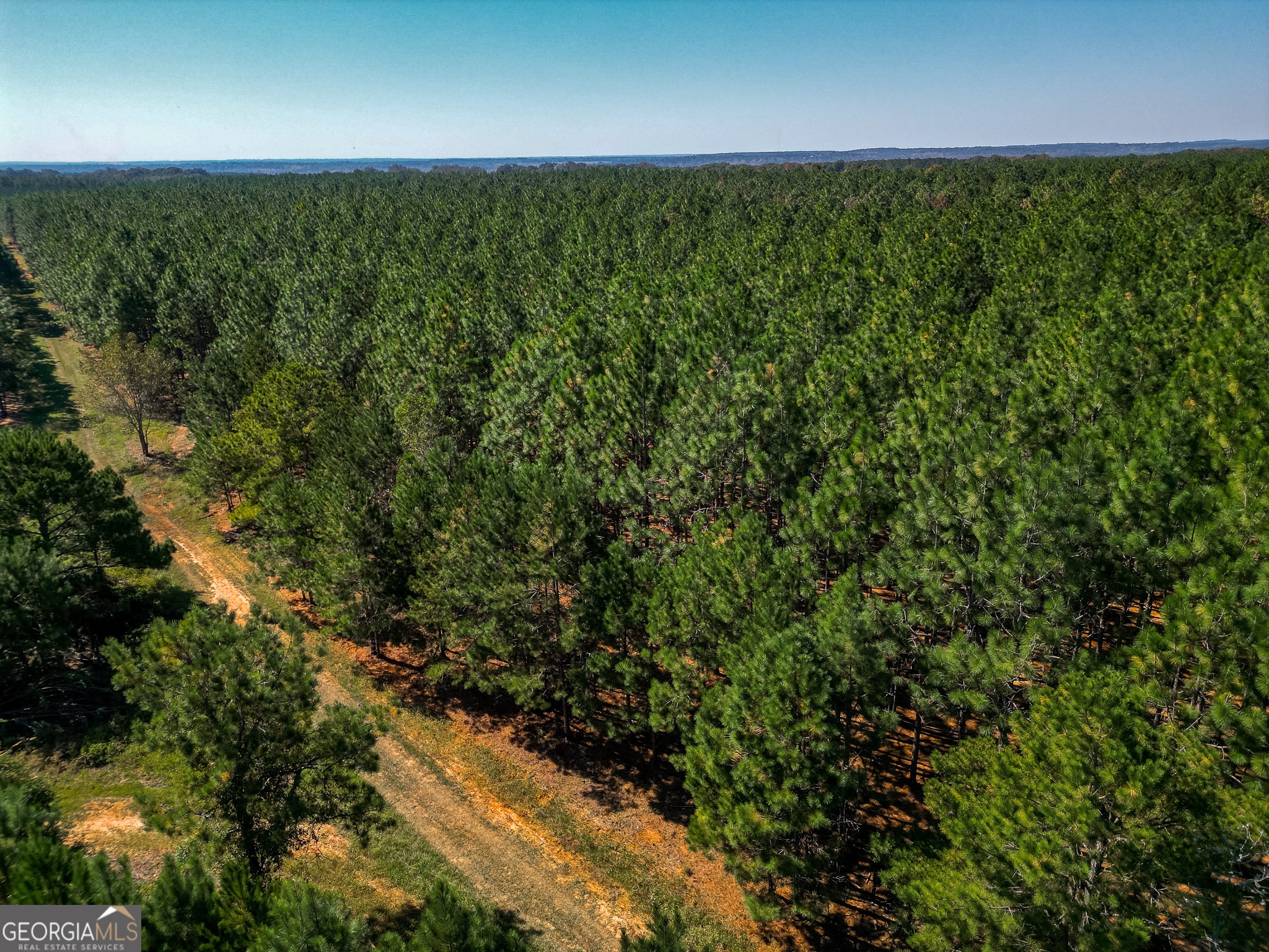 652 ACRES Ga Hwy 45 S