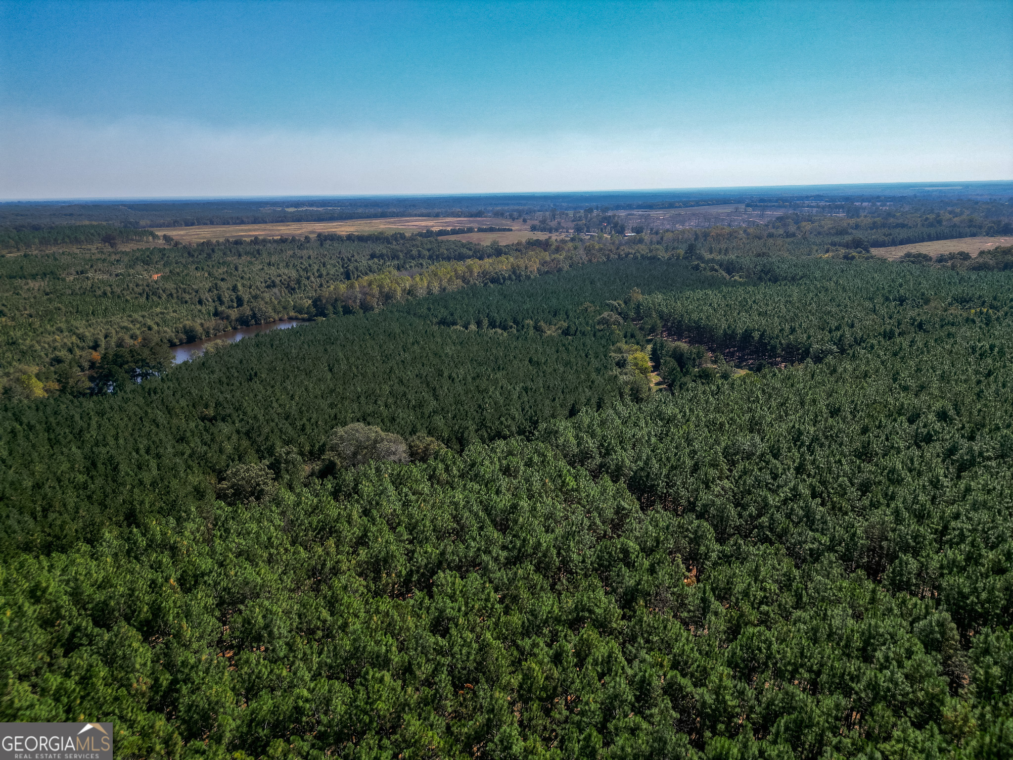652 ACRES Ga Hwy 45 S