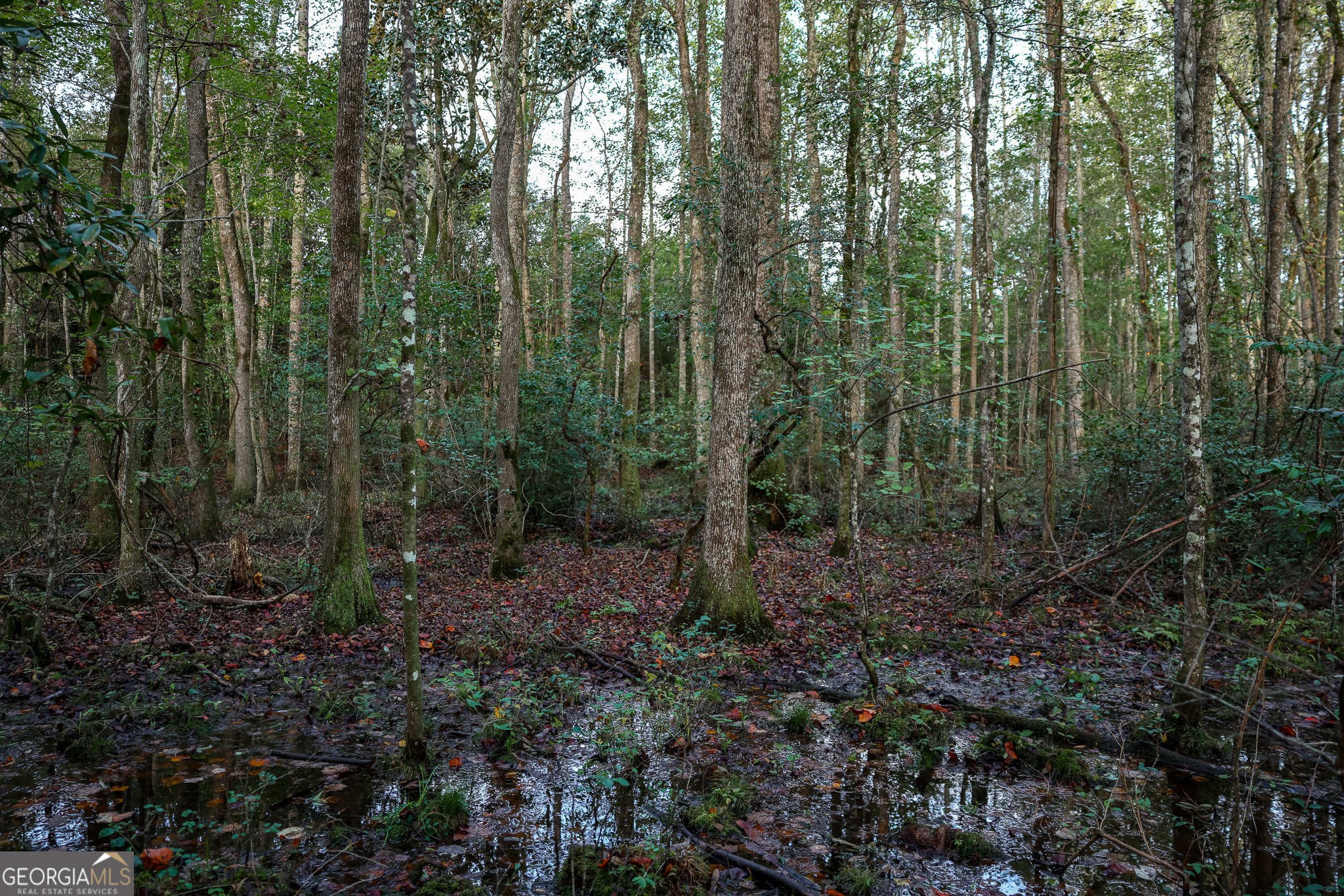 652 ACRES Ga Hwy 45 S