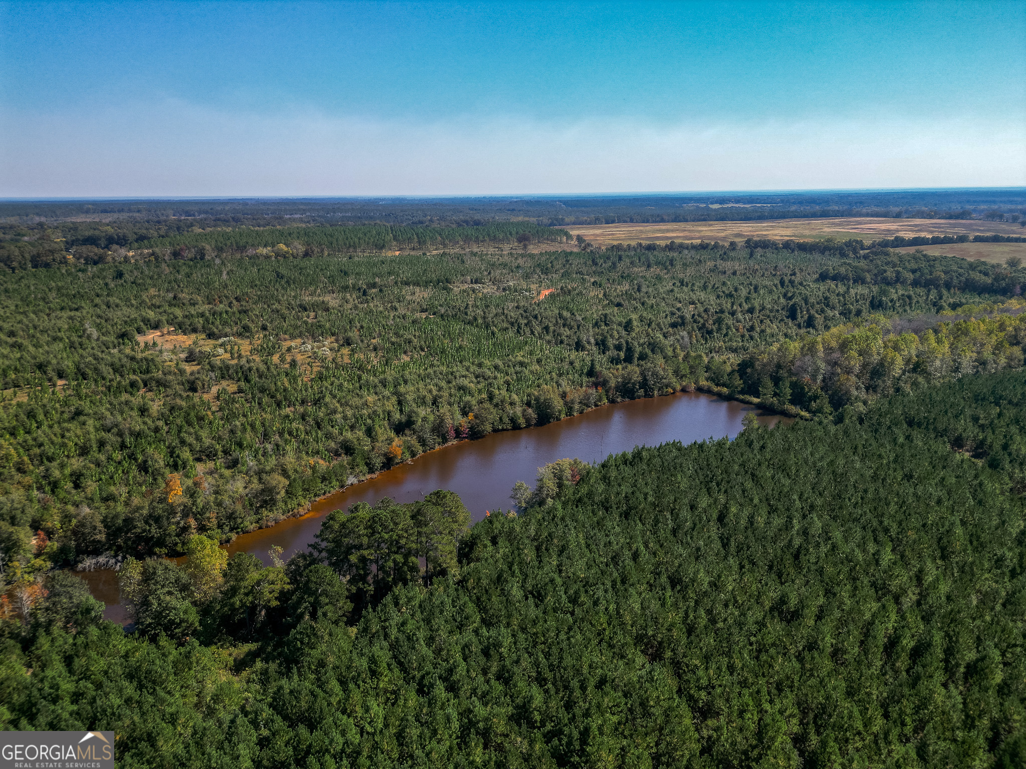 652 ACRES Ga Hwy 45 S