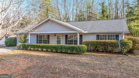 226 Chestnut AVE Demorest GA 30535