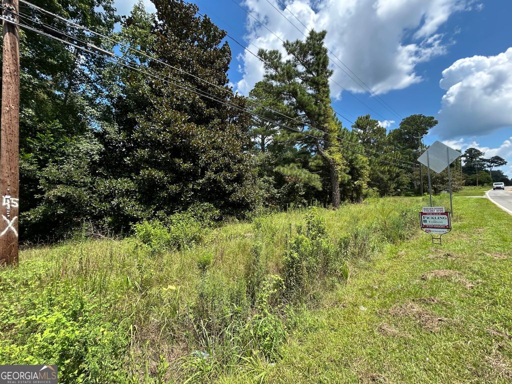 Photo of 3164 Riggins Mill Road, Macon, GA 31217 (MLS # 10763452)