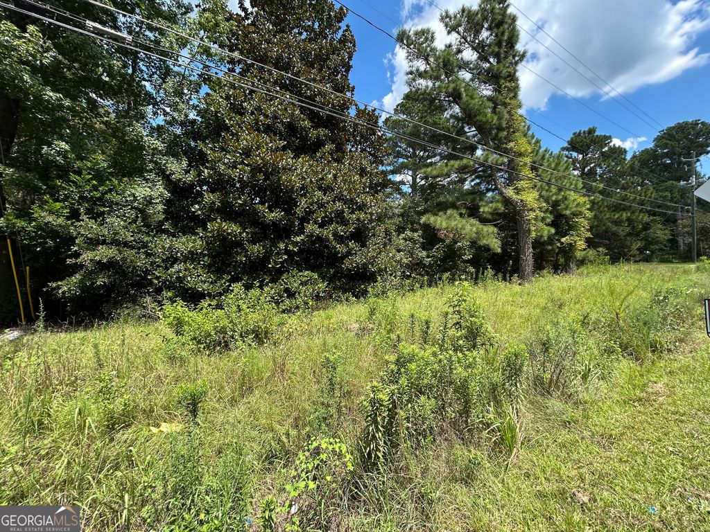 Photo of 3164 Riggins Mill Road, Macon, GA 31217 (MLS # 10763452)