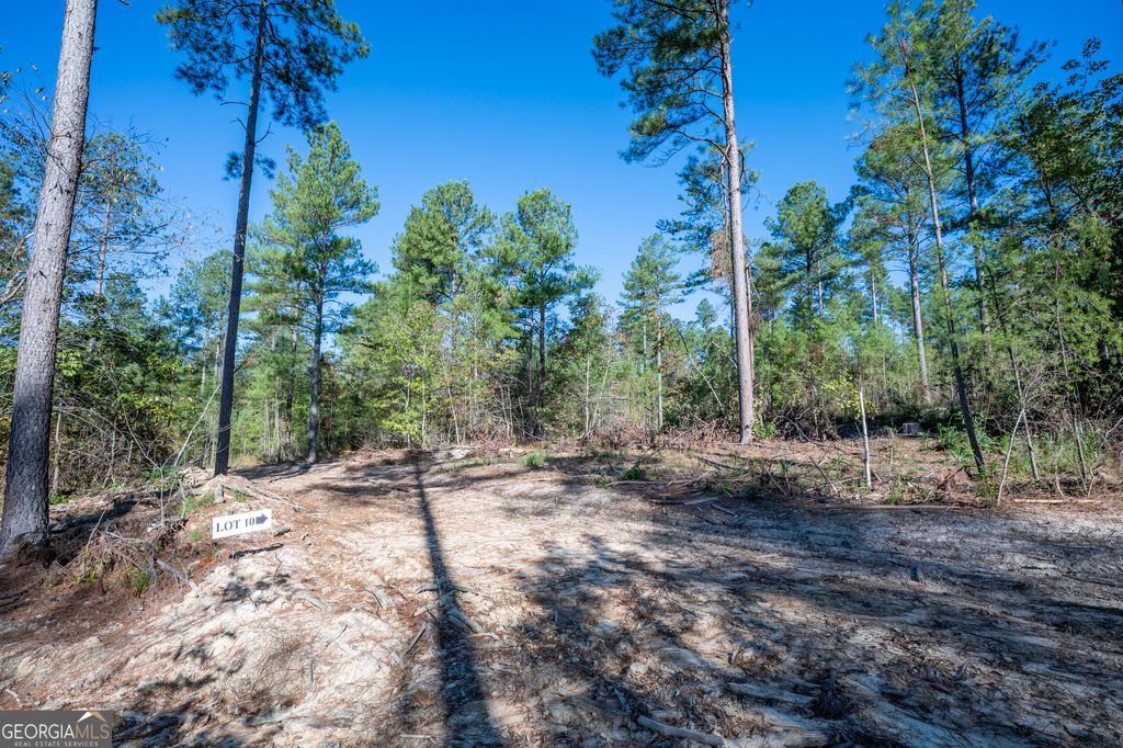 Photo of 3867 HWY 140 NE, Rydal, GA 30171 (MLS # 10632105)
