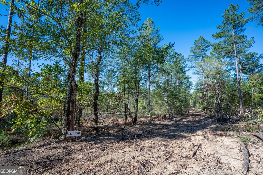 Photo of 3867 HWY 140 NE, Rydal, GA 30171 (MLS # 10632105)