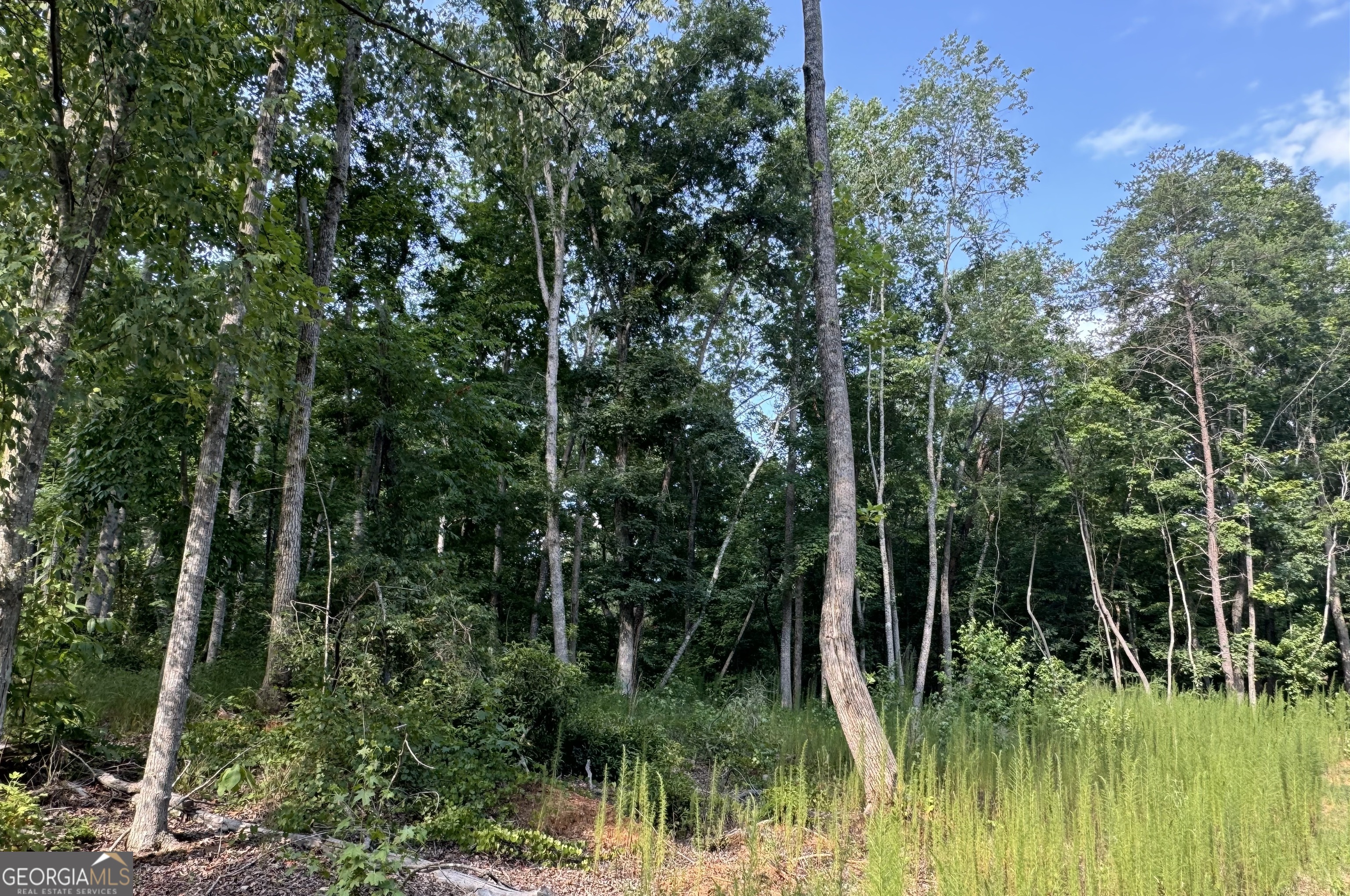LOT 6 Parker PT