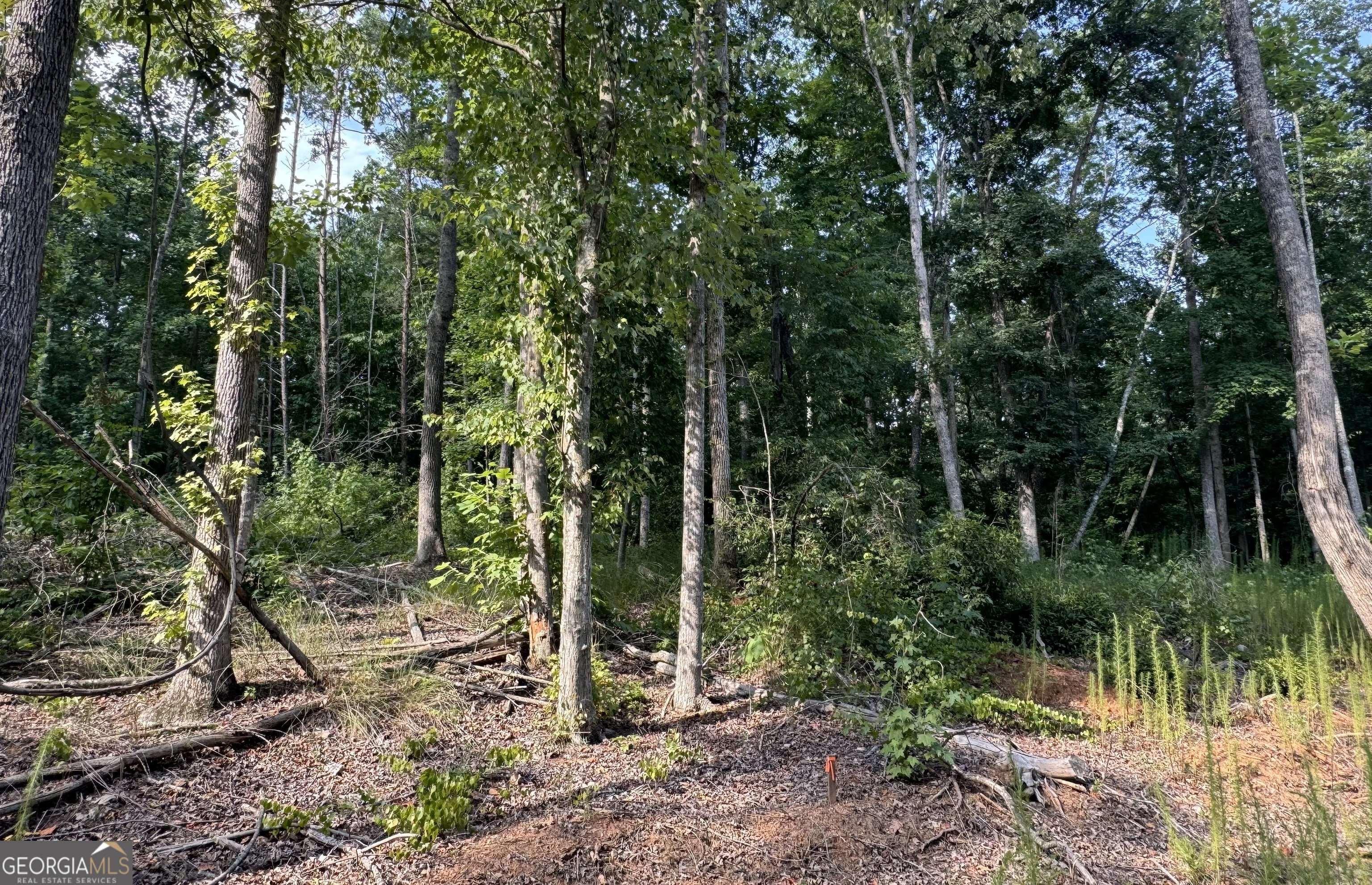 LOT 6 Parker PT