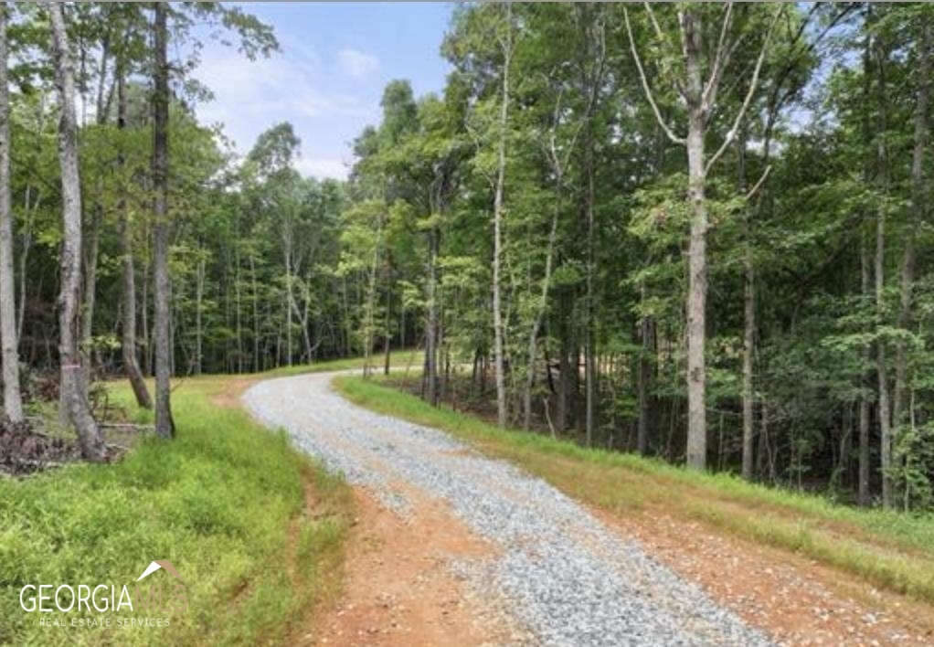 LOT 6 Parker PT