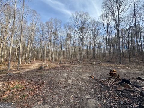 0 Alder RD Franklin GA 30217