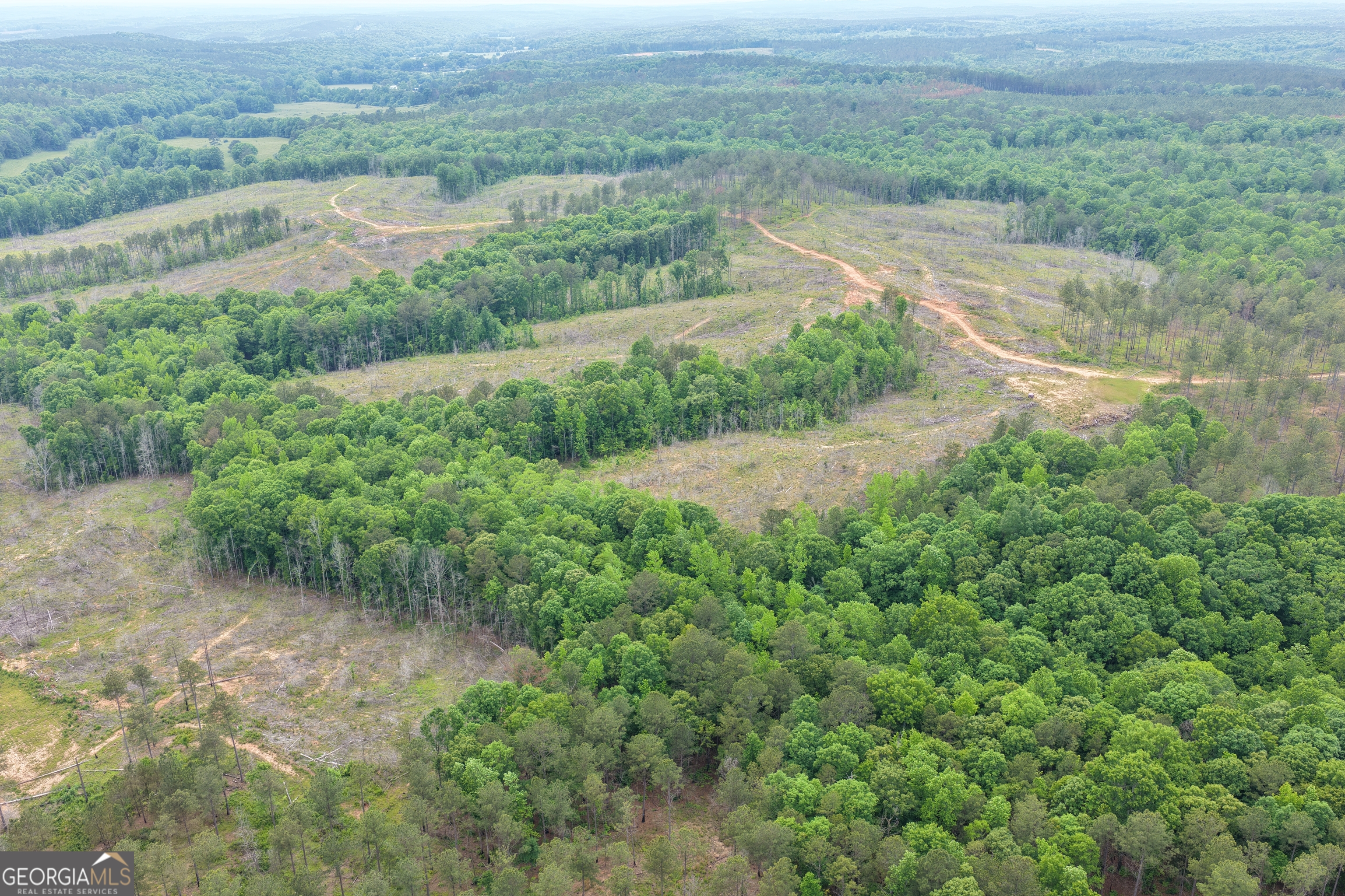 319 +/- AC Hwy 100