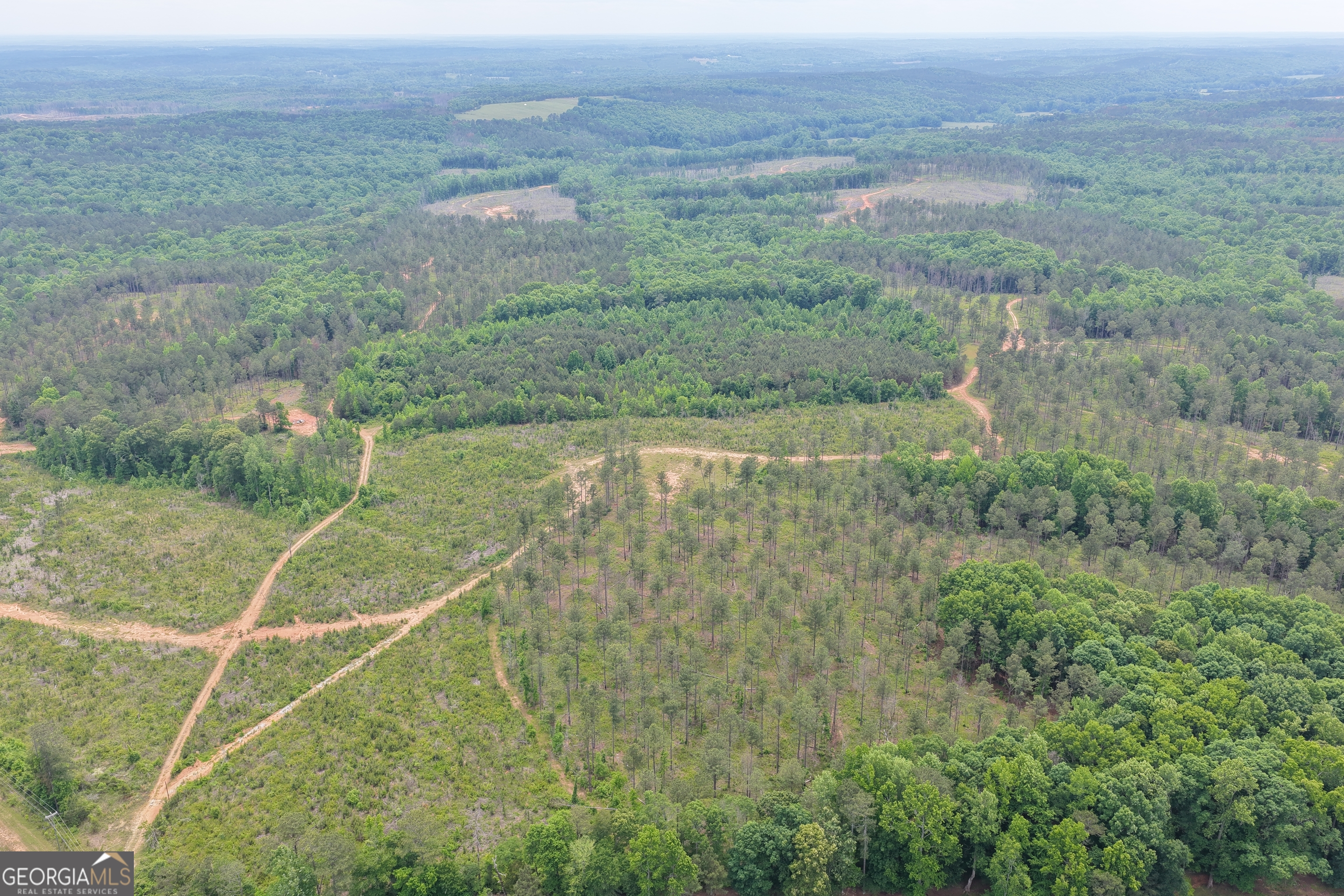 319 +/- AC Hwy 100