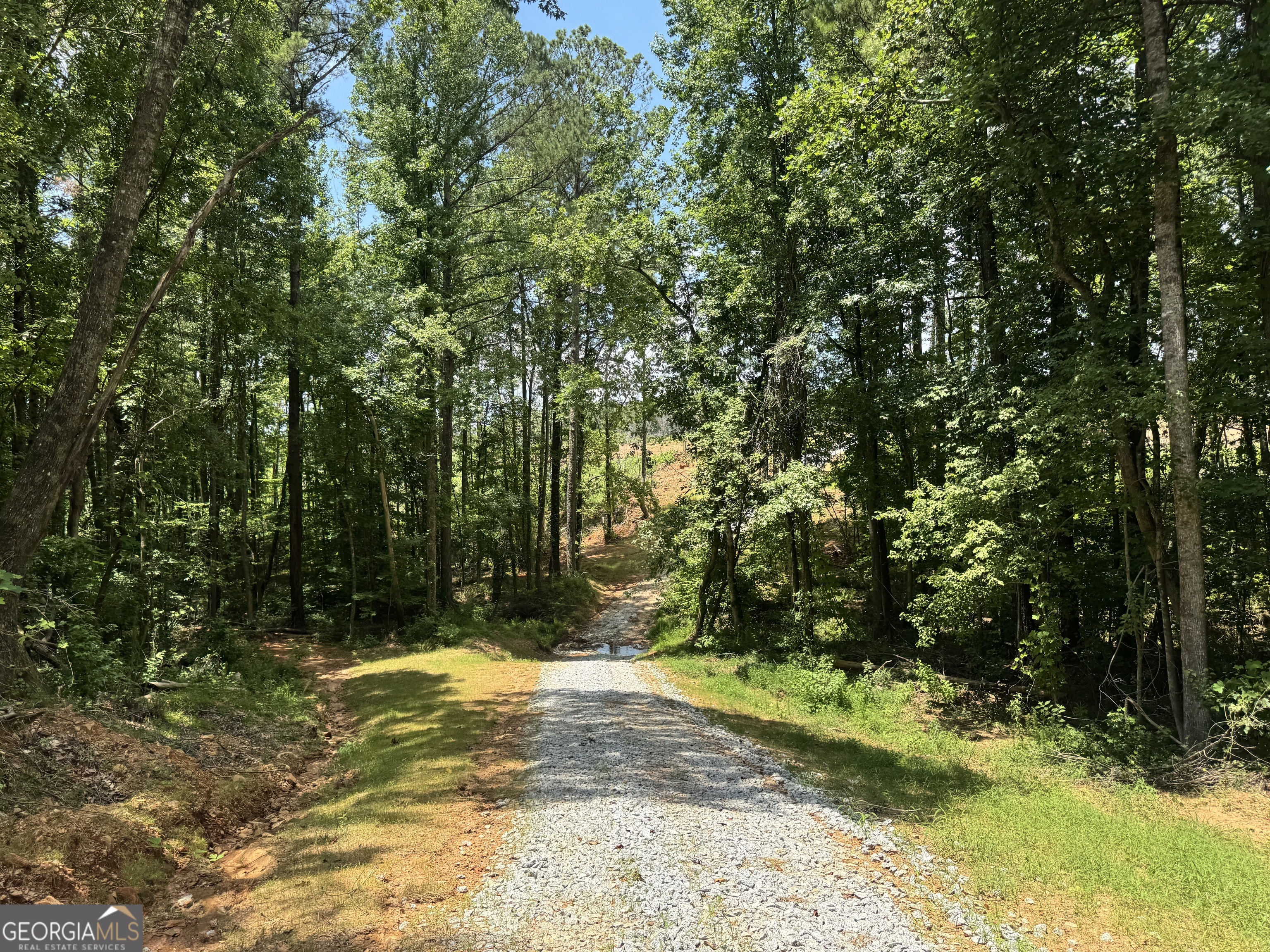319 +/- AC Hwy 100