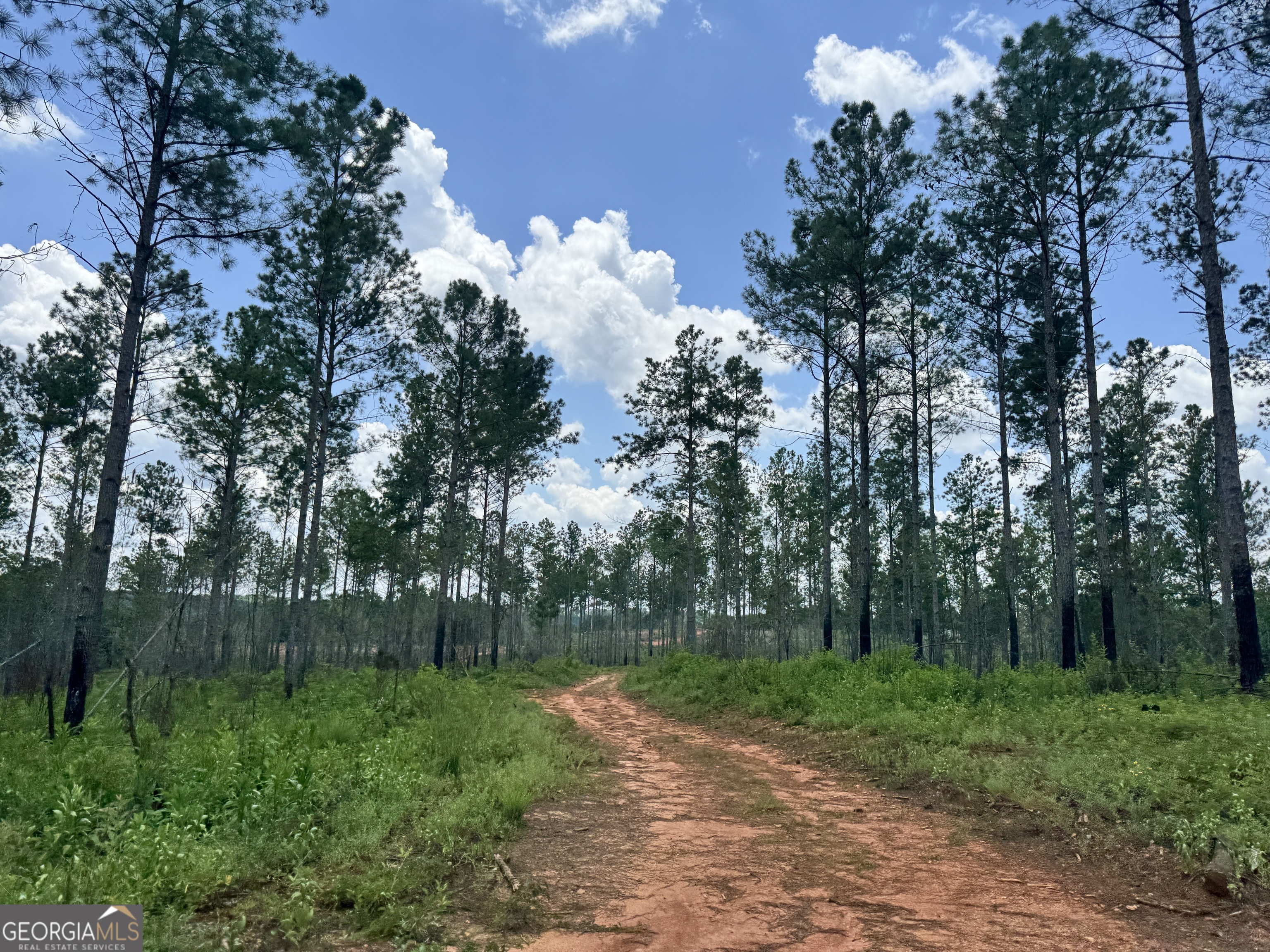 319 +/- AC Hwy 100