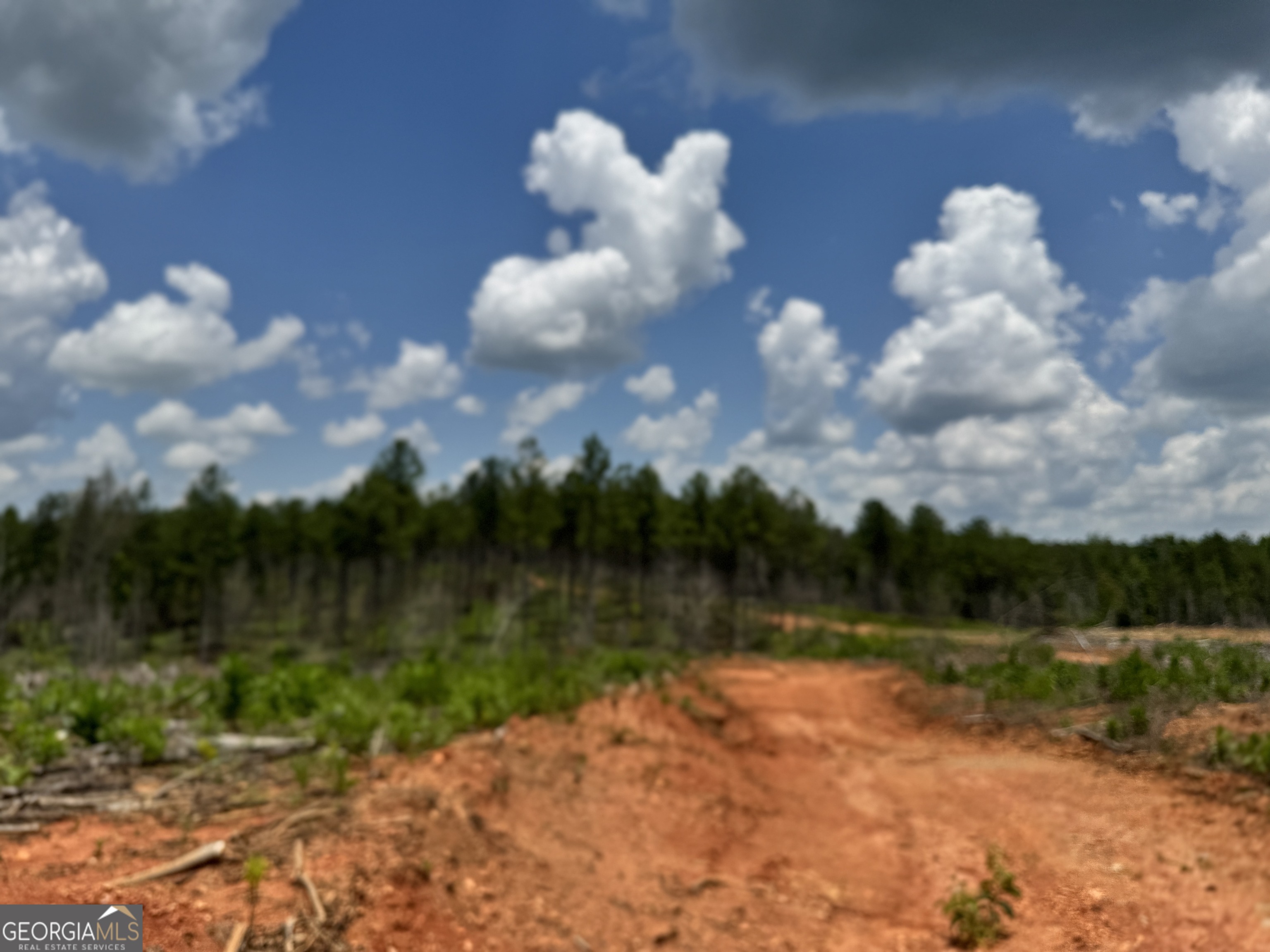 319 +/- AC Hwy 100