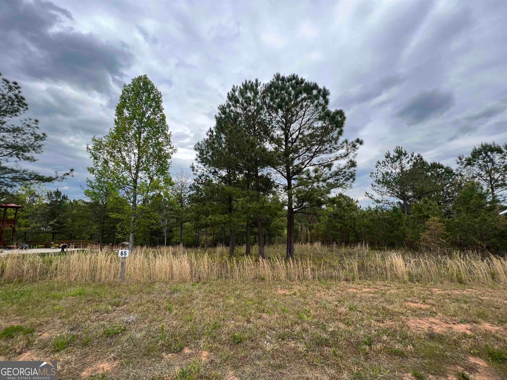 Photo of 65 Village Loop, Blairsville, GA 30512 (MLS # 10806406)