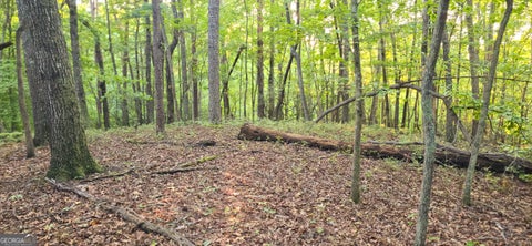 Photo of 20 Seye Wailo Trail, Clarkesville, GA 30523 (MLS # 10846870)