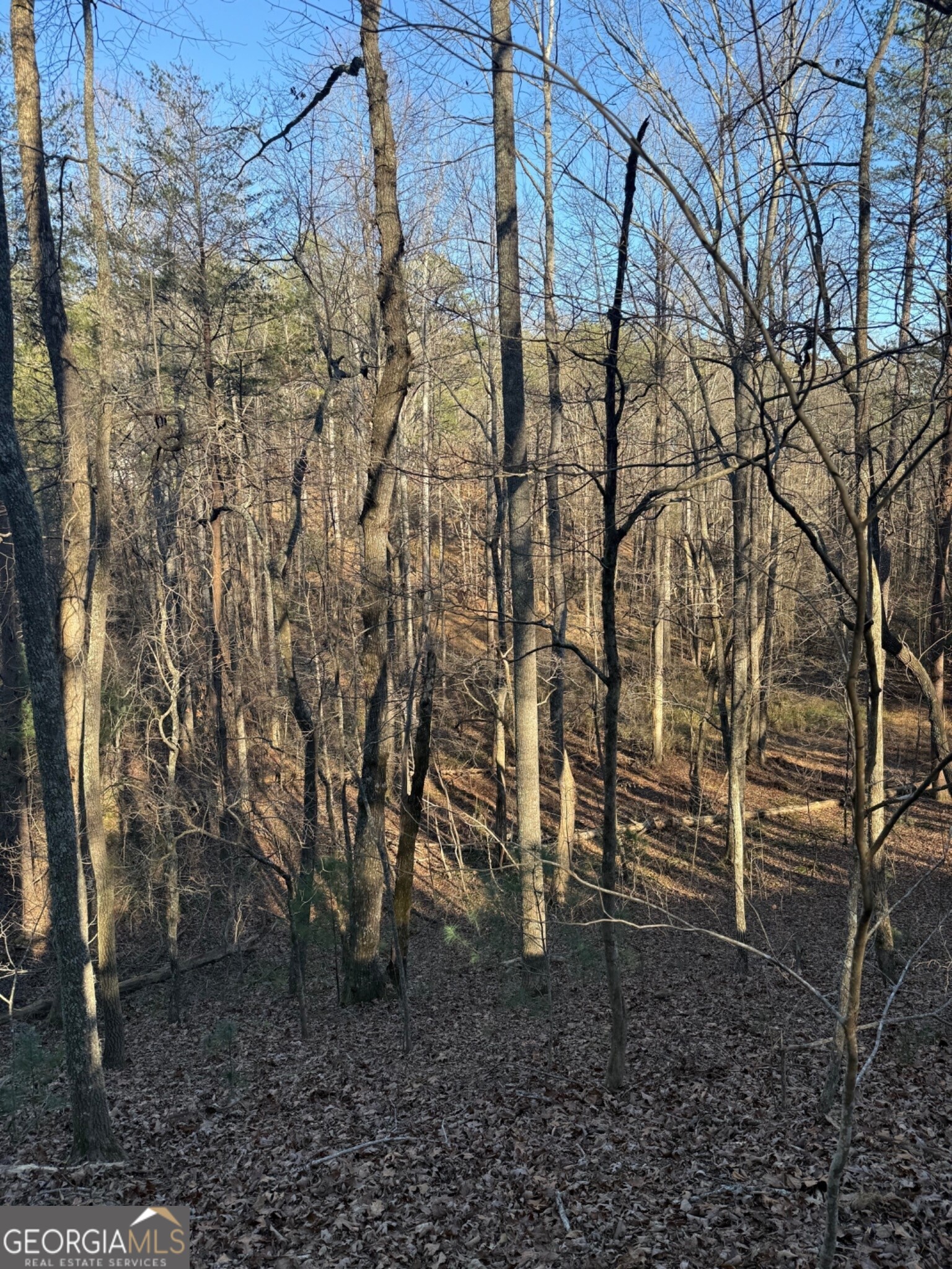 15 Mountain Gate