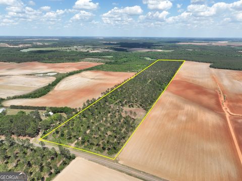 Photo of 0 Poplar Springs Road, Byromville, GA 31007 (MLS # 10741729)