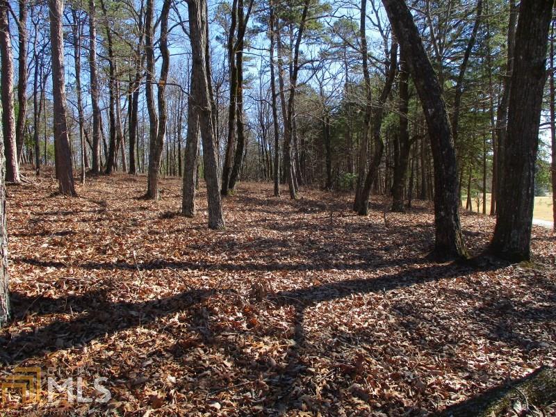 This almost 1 acre, gentle laying wooded lot is quite possibly one of the very best lots left for sale in The Orchard Golf and Country Club Community. The lot is very gentle sloping and has views of the 18th tee box and fairway. You just won't find a better one than this.