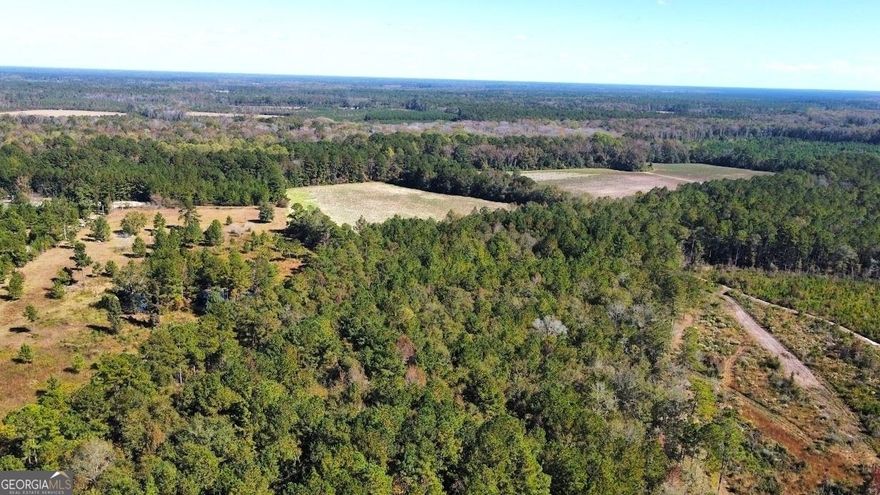 Prime Residential Development Opportunity in the Southeast Bulloch School District! We are excited to present a unique opportunity for builders and developers. This expansive parcel of land, spanning 268.56 acres, is now available for sale. This sought-after land is ideally situated in the highly desirable Southeast Bulloch School District. Additionally, its proximity to the new Hyundai Plant being built makes it an ideal spot for new residential development. Included in the offering is a charming 3 bedroom, 2 bath home with 1,650 sqft built in 2019. This home serves as an added value to the property and can be utilized for various purposes. With the increasing demand for quality housing in the area, this property package provides an excellent opportunity for builders and developers to create a new residential community. The vast acreage offers flexibility and potential for any and all future plans. Conveniently located within a 20-minute drive of the new Plant, this land benefits from easy accessibility to amenities, schools, and transportation routes. Another bonus, this property is located right in the heart of the Future Development Comprehensive Plan for Bulloch County. Don't miss out on this exceptional offering. Take advantage of the growing market in this area and make your mark with this prime land for future development. * The wetlands map on the tax assessor's website is incorrect. Delineation paperwork from the US Army Corps of Engineers is available. Also, the county has plans to pave the road in the next 8 -12 months.